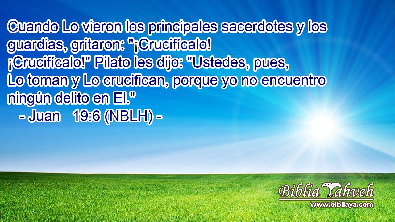  Cuando Lo vieron los principales sacerdotes y los guardias, gritaron: 