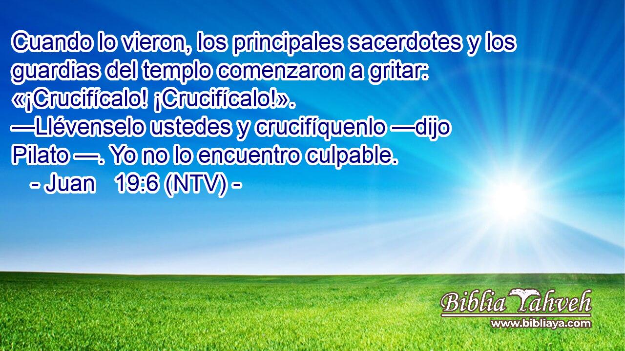Cuando lo vieron, los principales sacerdotes y los guardias del templo comenzaron a gritar: «¡Crucifícalo! ¡Crucifícalo!». —Llévenselo ustedes y crucifíquenlo —dijo Pilato —. Yo no lo encuentro culpable.