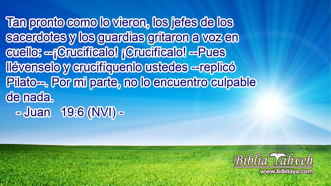  Tan pronto como lo vieron, los jefes de los sacerdotes y los guardias gritaron a voz en cuello: --¡Crucifícalo! ¡Crucifícalo! --Pues llévenselo y crucifíquenlo ustedes --replicó Pilato--. Por mi parte, no lo encuentro culpable de nada. 