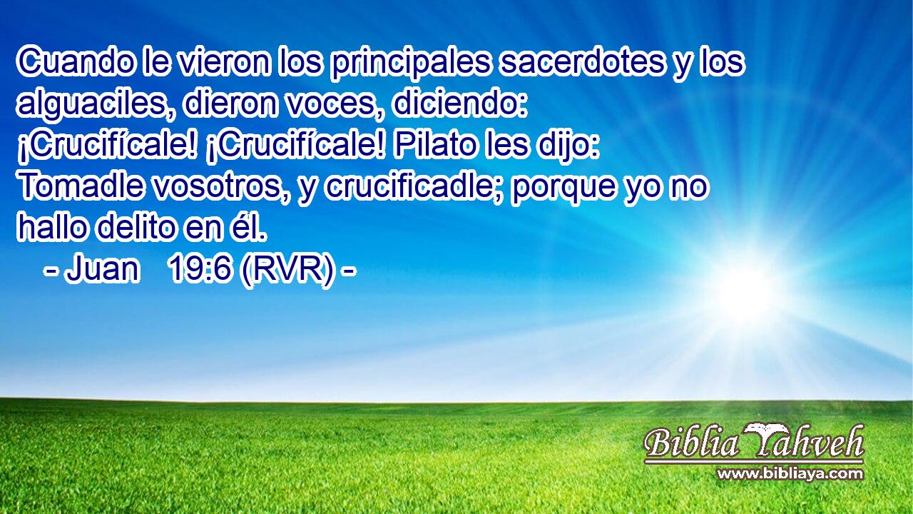 Cuando le vieron los principales sacerdotes y los alguaciles, dieron voces, diciendo: ¡Crucifícale! ¡Crucifícale! Pilato les dijo: Tomadle vosotros, y crucificadle; porque yo no hallo delito en él.
