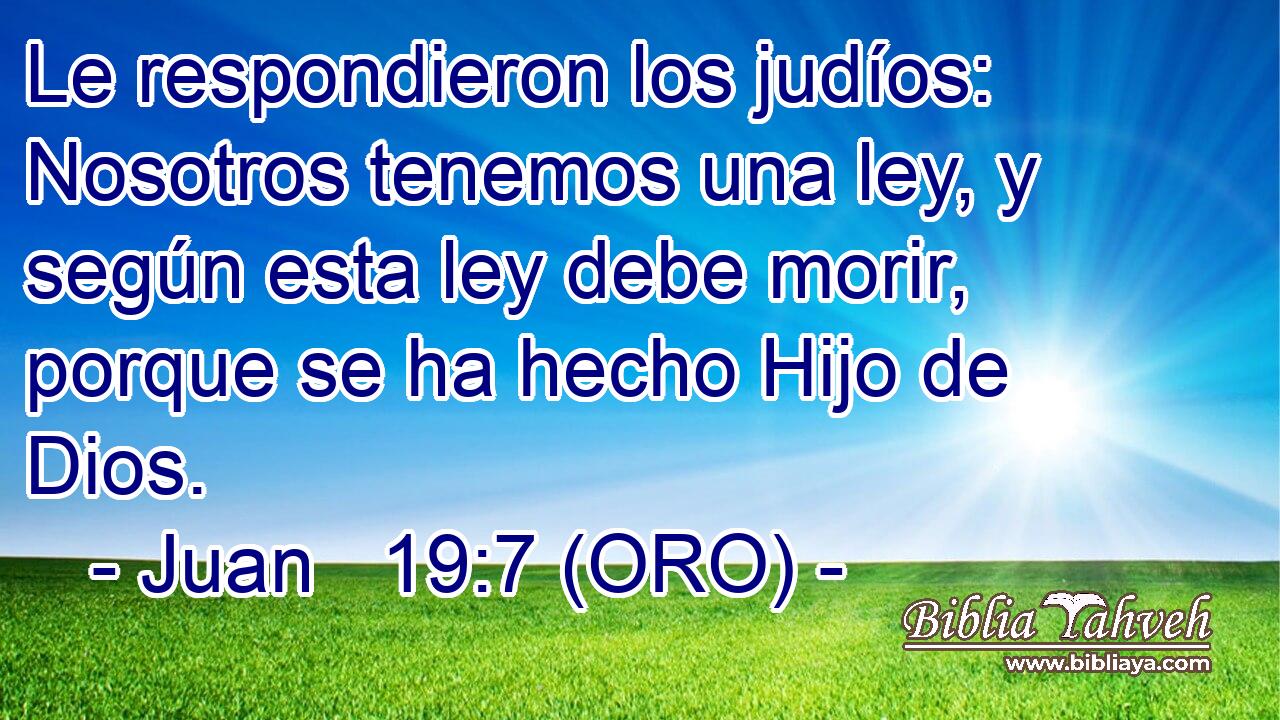 Le respondieron los judíos: Nosotros tenemos una ley, y según esta ley debe morir, porque se ha hecho Hijo de Dios. 