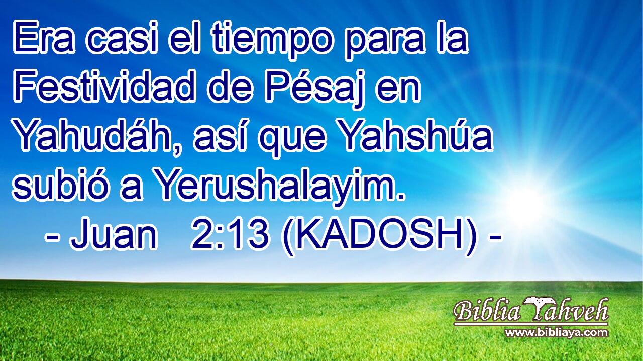  Era casi el tiempo para la Festividad de Pésaj en Yahudáh, así que Yahshúa subió a Yerushalayim. 
