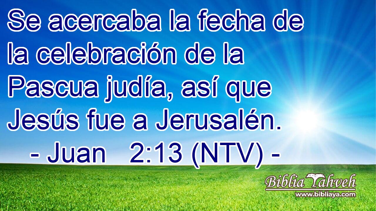 Se acercaba la fecha de la celebración de la Pascua judía, así que Jesús fue a Jerusalén.