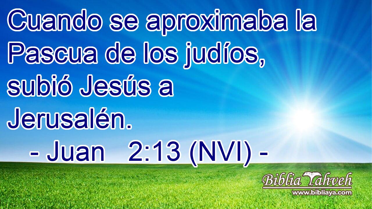  Cuando se aproximaba la Pascua de los judíos, subió Jesús a Jerusalén. 