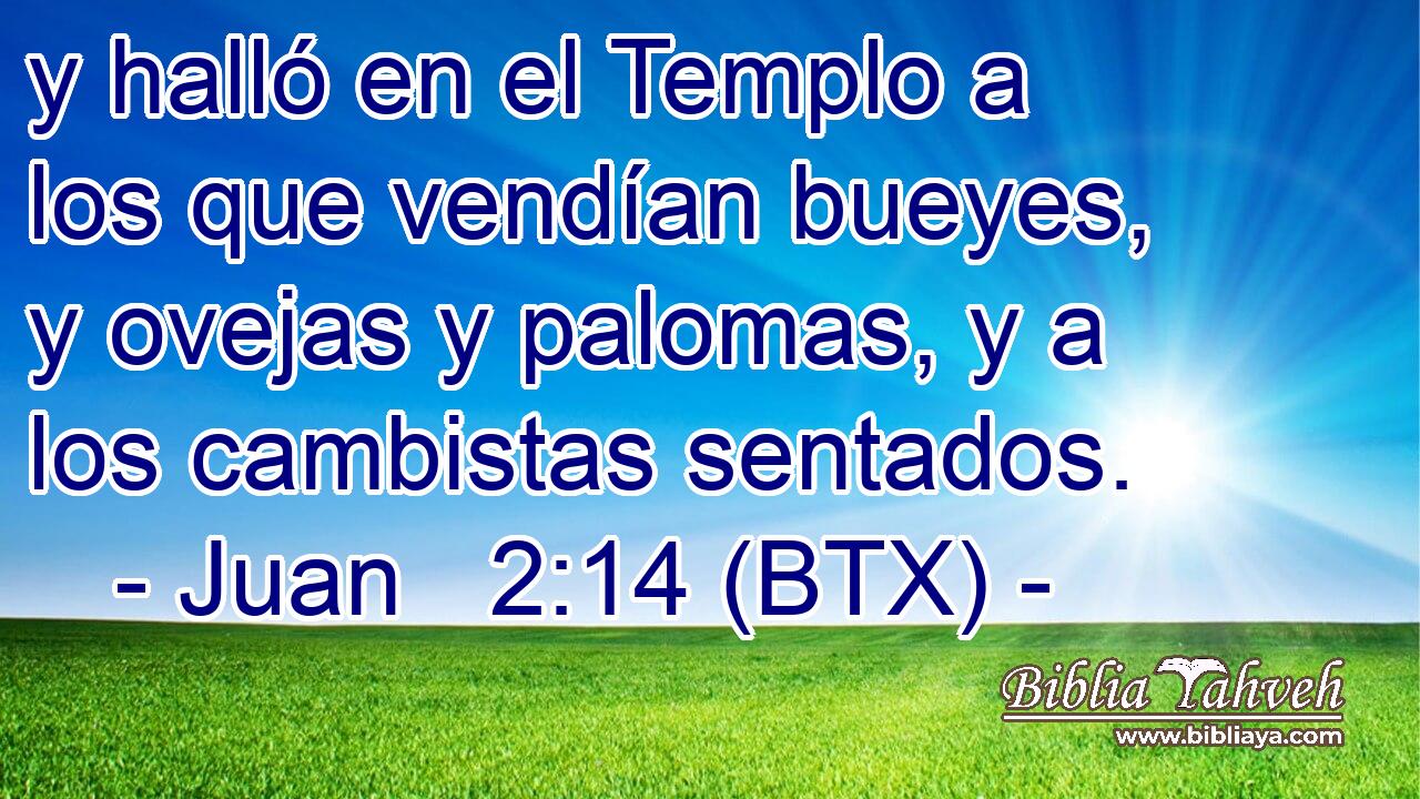 y halló en el Templo a los que vendían bueyes, y ovejas y palomas, y a los cambistas sentados.