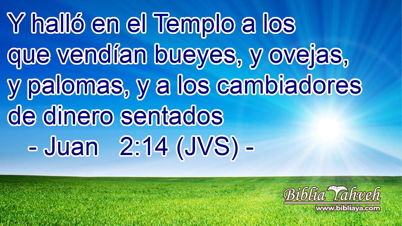 Y halló en el Templo a los que vendían bueyes, y ovejas, y palomas, y a los cambiadores de dinero sentados