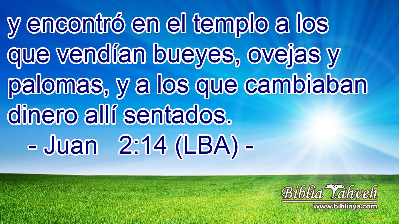 y encontró en el templo a los que vendían bueyes, ovejas y palomas, y a los que cambiaban dinero allí sentados.