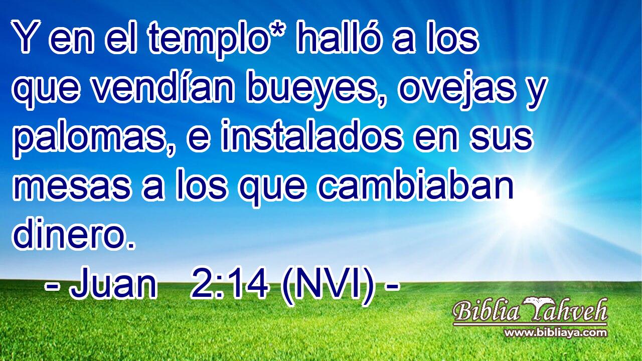  Y en el templo* halló a los que vendían bueyes, ovejas y palomas, e instalados en sus mesas a los que cambiaban dinero. 