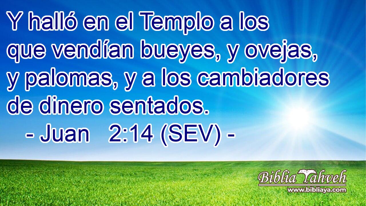 Y halló en el Templo a los que vendían bueyes, y ovejas, y palomas, y a los cambiadores de dinero sentados.