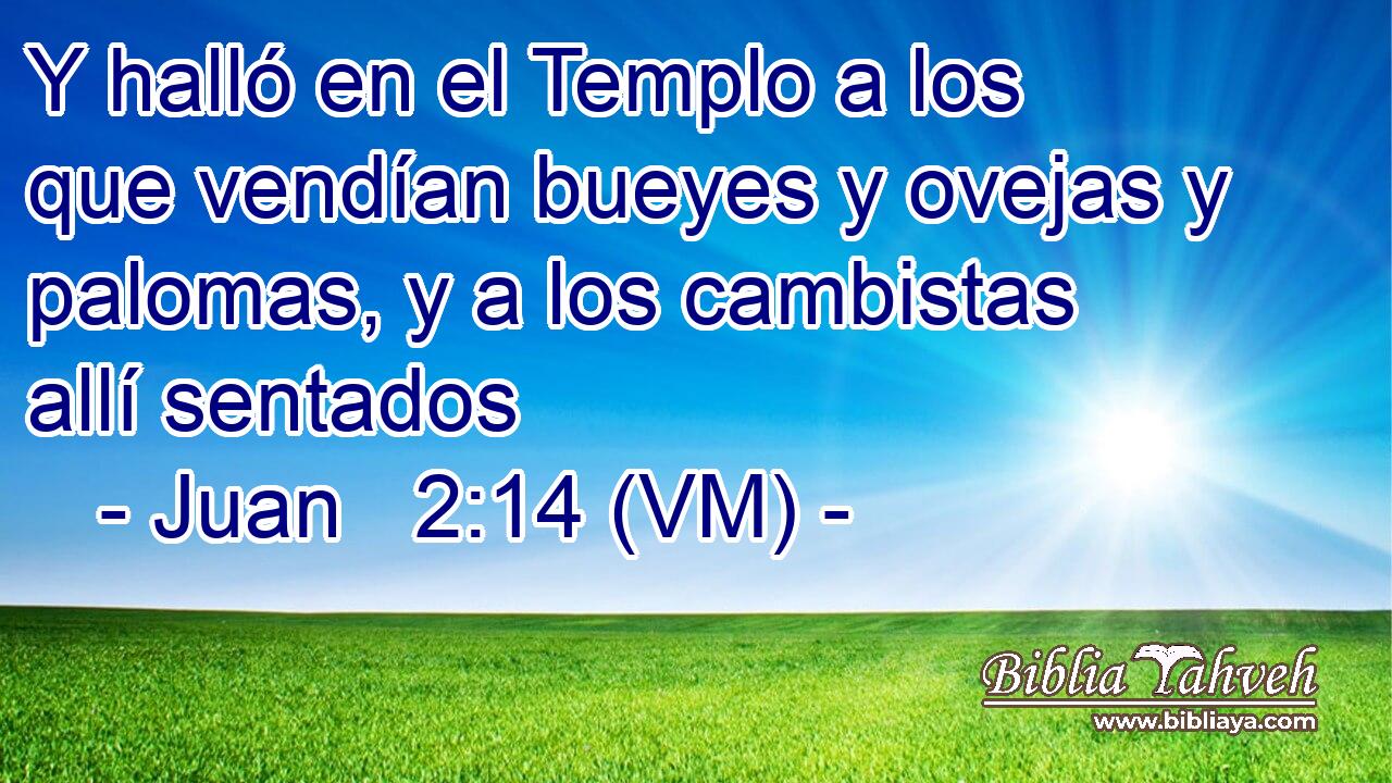  Y halló en el Templo a los que vendían bueyes y ovejas y palomas, y a los cambistas allí sentados 