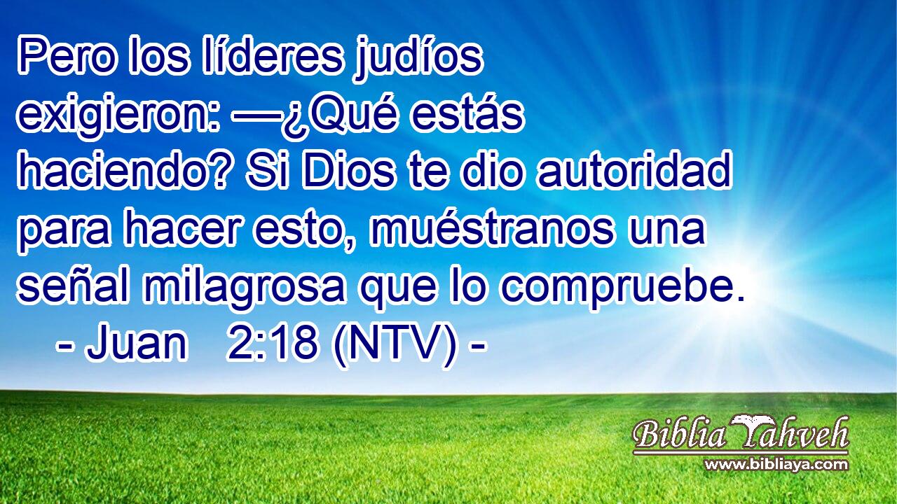 Pero los líderes judíos exigieron: —¿Qué estás haciendo? Si Dios te dio autoridad para hacer esto, muéstranos una señal milagrosa que lo compruebe.