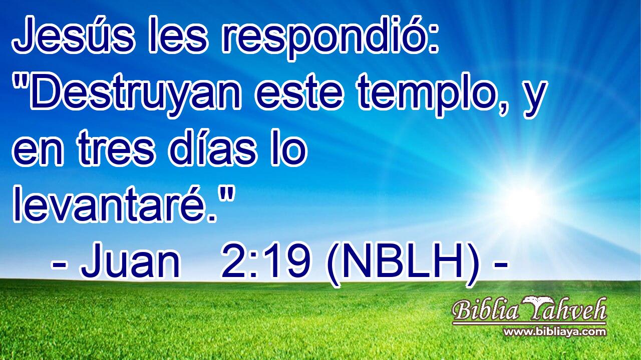  Jesús les respondió: 