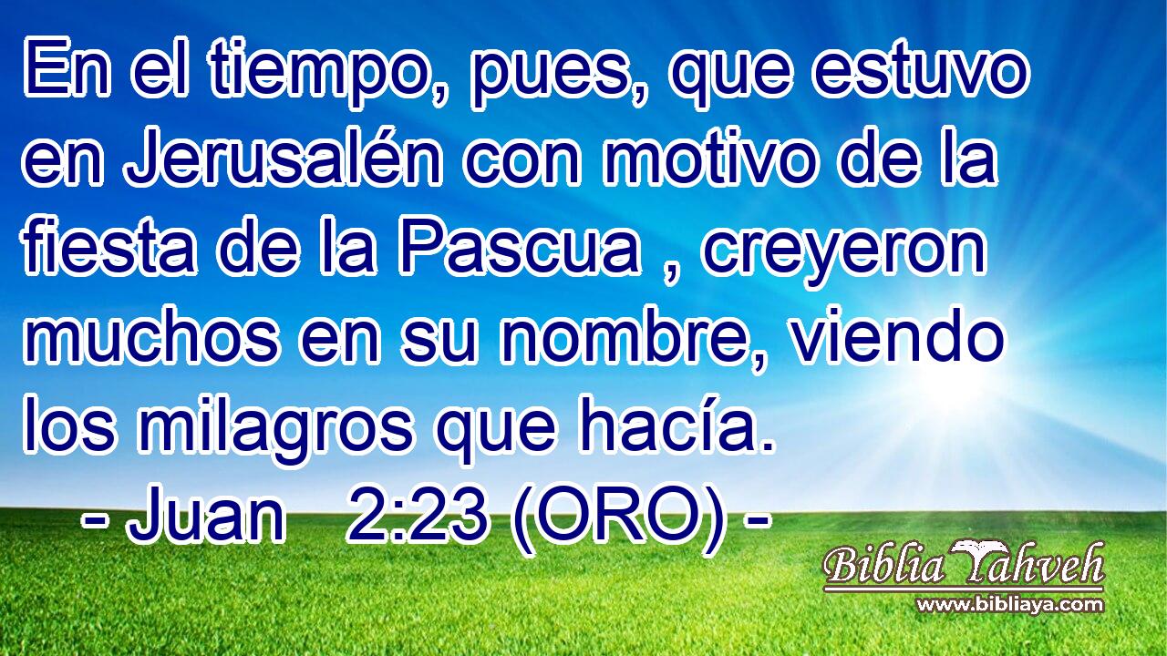  En el tiempo, pues, que estuvo en Jerusalén con motivo de la fiesta de la Pascua , creyeron muchos en su nombre, viendo los milagros que hacía. 