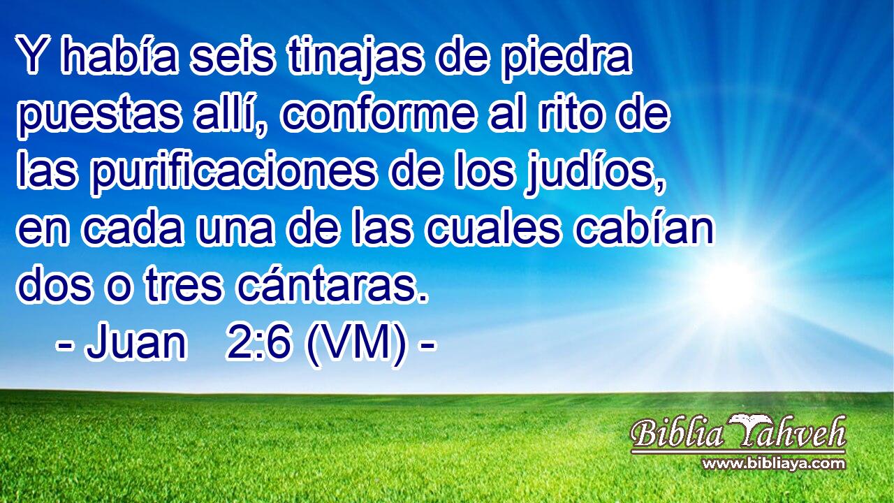  Y había seis tinajas de piedra puestas allí, conforme al rito de las purificaciones de los judíos, en cada una de las cuales cabían dos o tres cántaras. 