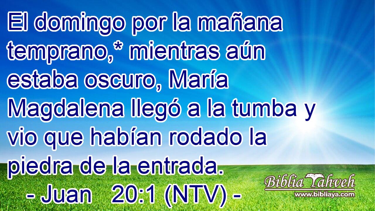 El domingo por la mañana temprano,* mientras aún estaba oscuro, María Magdalena llegó a la tumba y vio que habían rodado la piedra de la entrada.