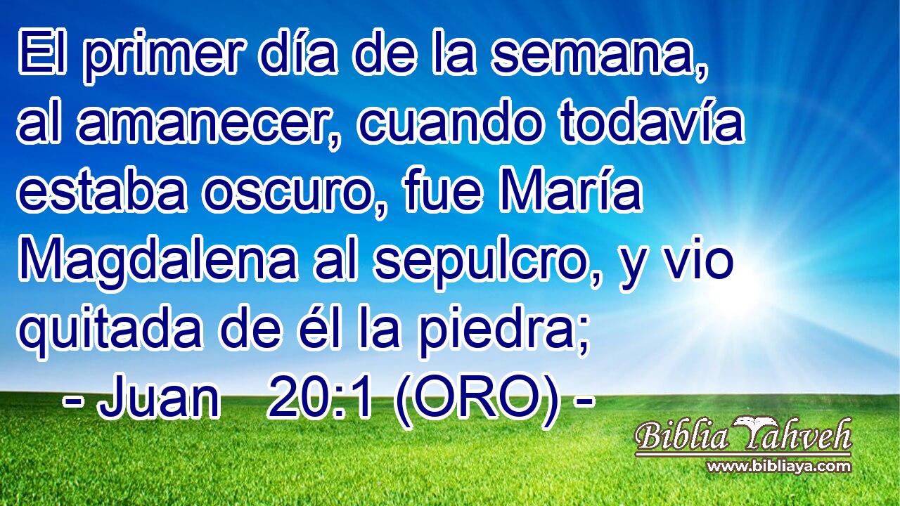  El primer día de la semana, al amanecer, cuando todavía estaba oscuro, fue María Magdalena al sepulcro, y vio quitada de él la piedra; 