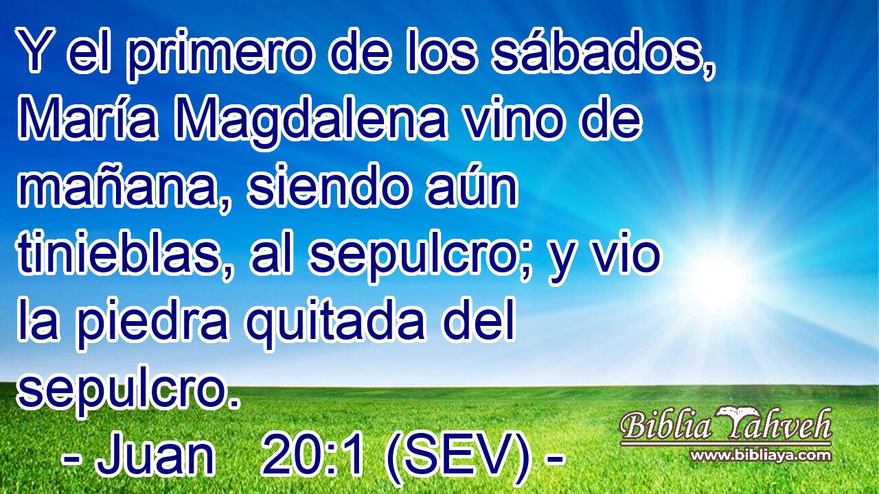 Y el primero de los sábados, María Magdalena vino de mañana, siendo aún tinieblas, al sepulcro; y vio la piedra quitada del sepulcro.