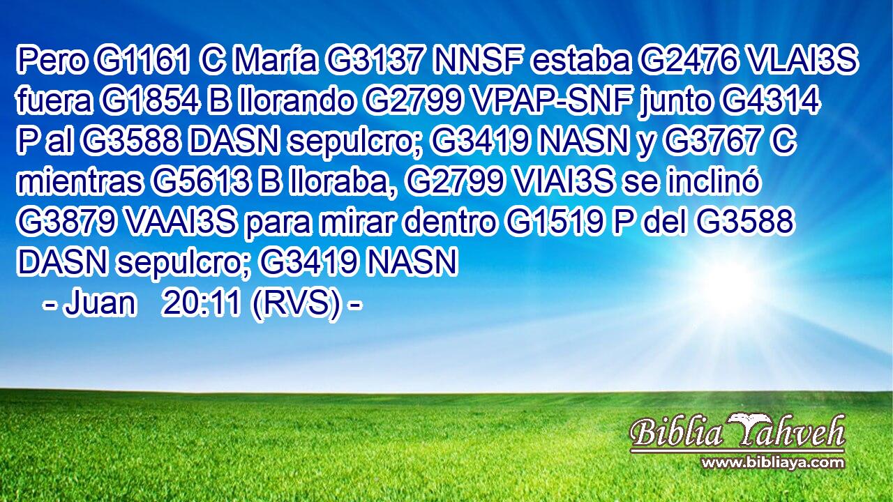 Pero G1161 C María G3137 NNSF estaba G2476 VLAI3S fuera G1854 B llorando G2799 VPAP-SNF junto G4314 P al G3588 DASN sepulcro; G3419 NASN y G3767 C mientras G5613 B lloraba, G2799 VIAI3S se inclinó G3879 VAAI3S para mirar dentro G1519 P del G3588 DASN sepulcro; G3419 NASN 