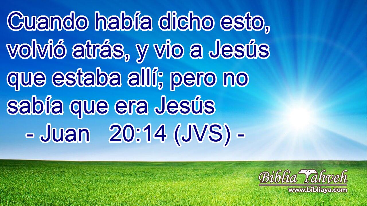 Cuando había dicho esto, volvió atrás, y vio a Jesús que estaba allí; pero no sabía que era Jesús