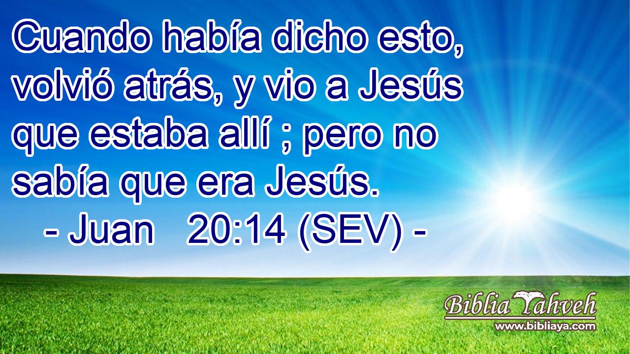 Cuando había dicho esto, volvió atrás, y vio a Jesús que estaba allí ; pero no sabía que era Jesús.