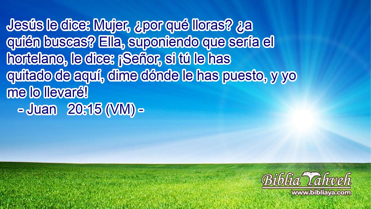  Jesús le dice: Mujer, ¿por qué lloras? ¿a quién buscas? Ella, suponiendo que sería el hortelano, le dice: ¡Señor, si tú le has quitado de aquí, dime dónde le has puesto, y yo me lo llevaré! 
