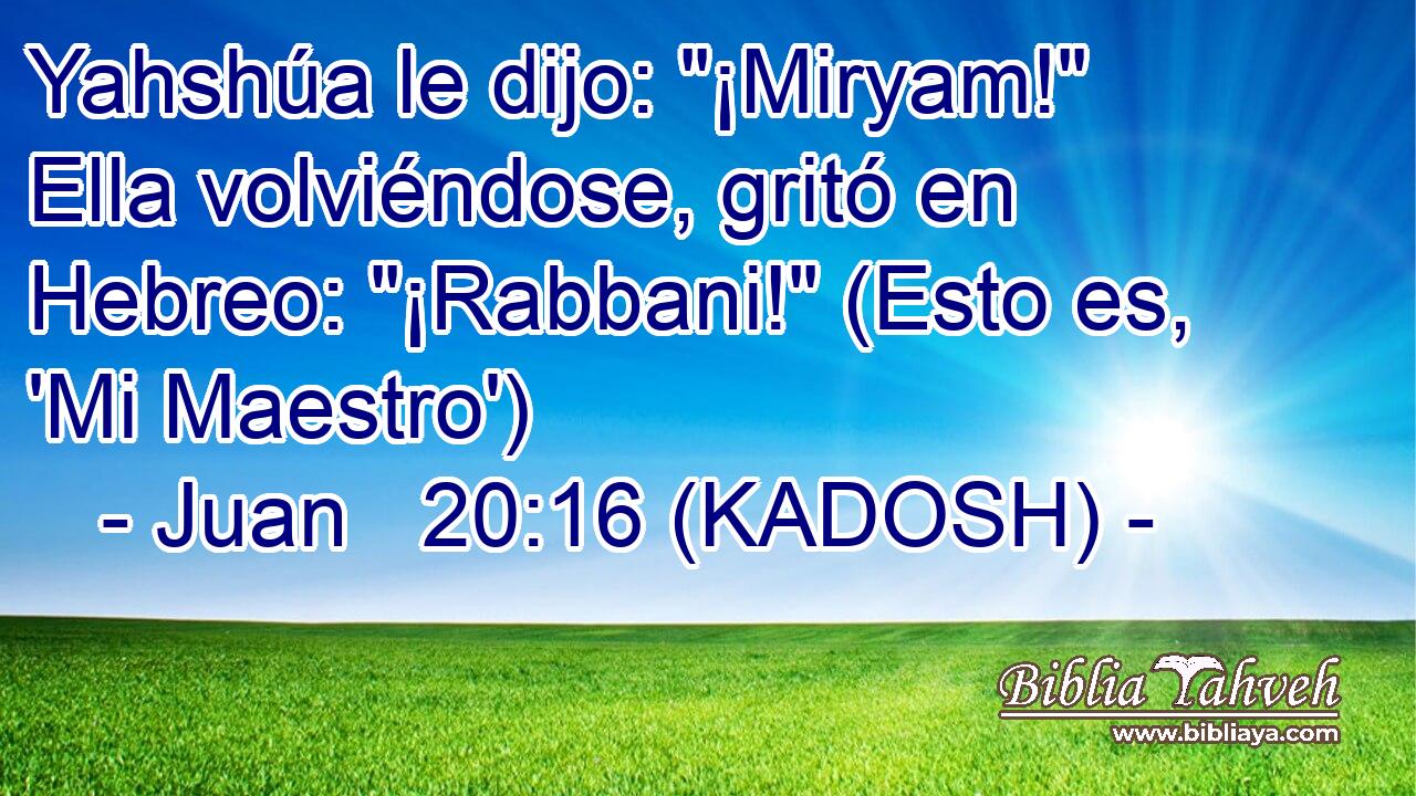  Yahshúa le dijo: 