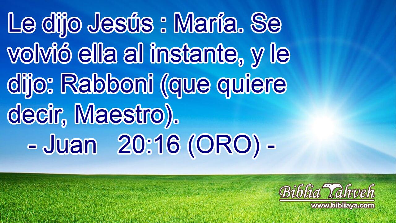  Le dijo Jesús : María. Se volvió ella al instante, y le dijo: Rabboni (que quiere decir, Maestro). 