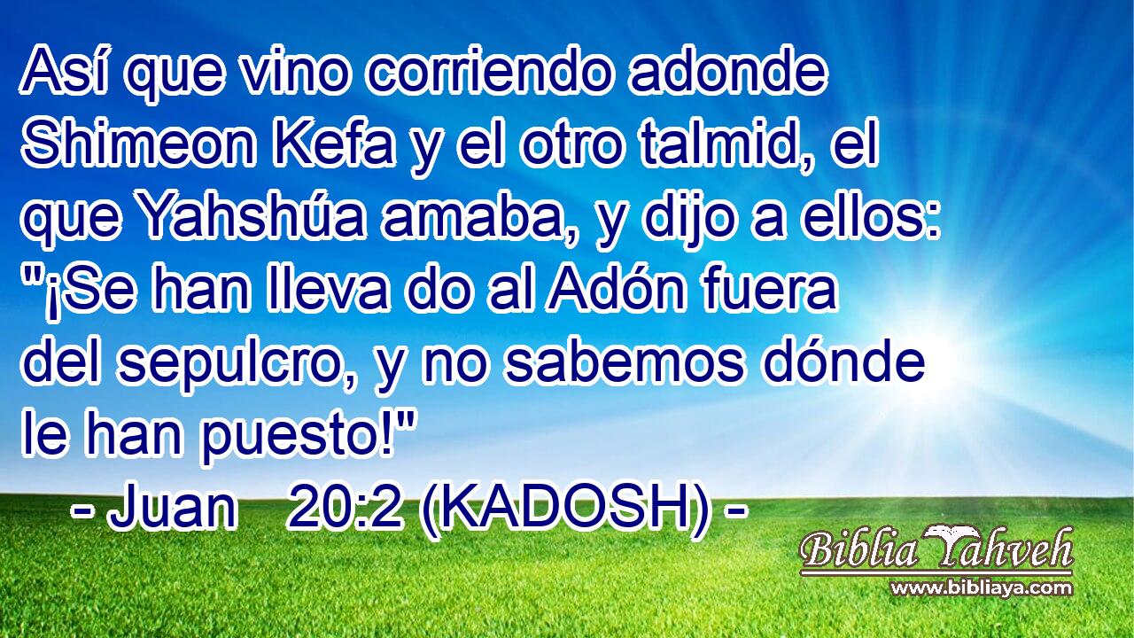  Así que vino corriendo adonde Shimeon Kefa y el otro talmid, el que Yahshúa amaba, y dijo a ellos: 