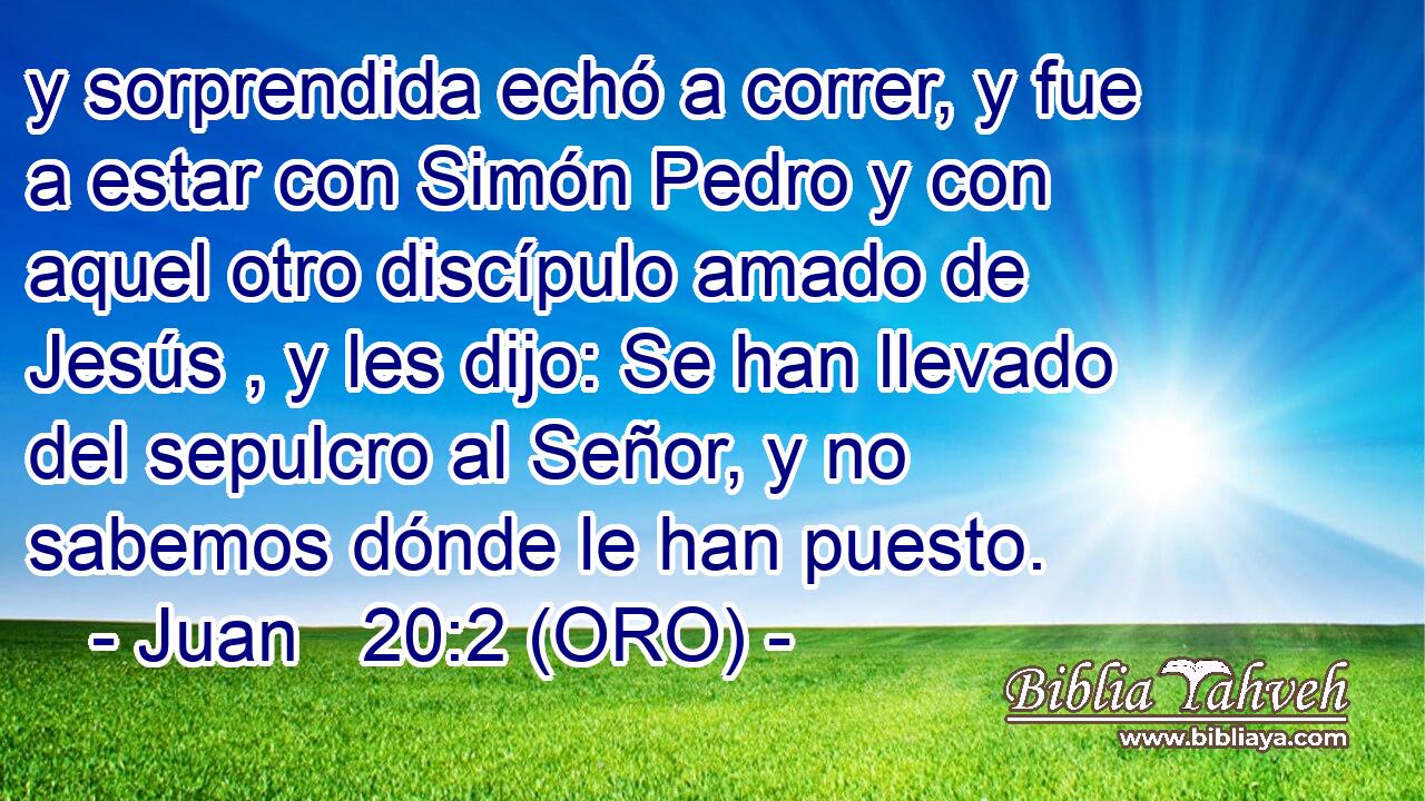  y sorprendida echó a correr, y fue a estar con Simón Pedro y con aquel otro discípulo amado de Jesús , y les dijo: Se han llevado del sepulcro al Señor, y no sabemos dónde le han puesto. 