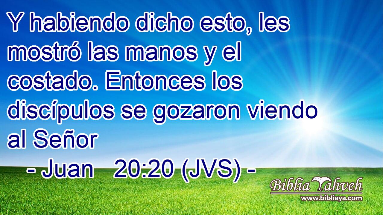 Y habiendo dicho esto, les mostró las manos y el costado. Entonces los discípulos se gozaron viendo al Señor