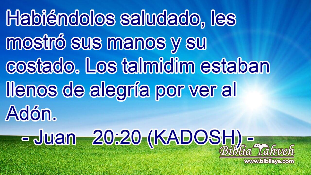  Habiéndolos saludado, les mostró sus manos y su costado. Los talmidim estaban llenos de alegría por ver al Adón. 