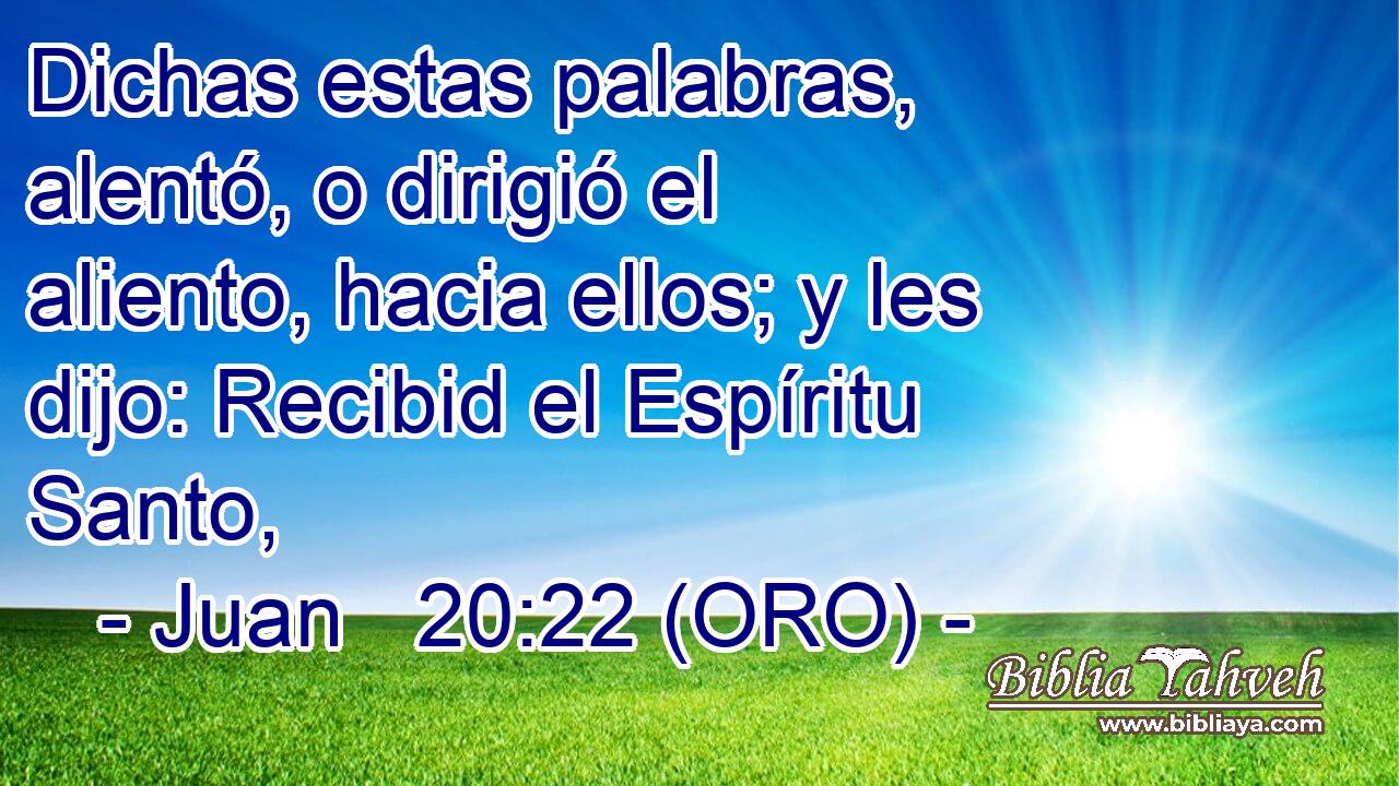  Dichas estas palabras, alentó, o dirigió el aliento, hacia ellos; y les dijo: Recibid el Espíritu Santo, 