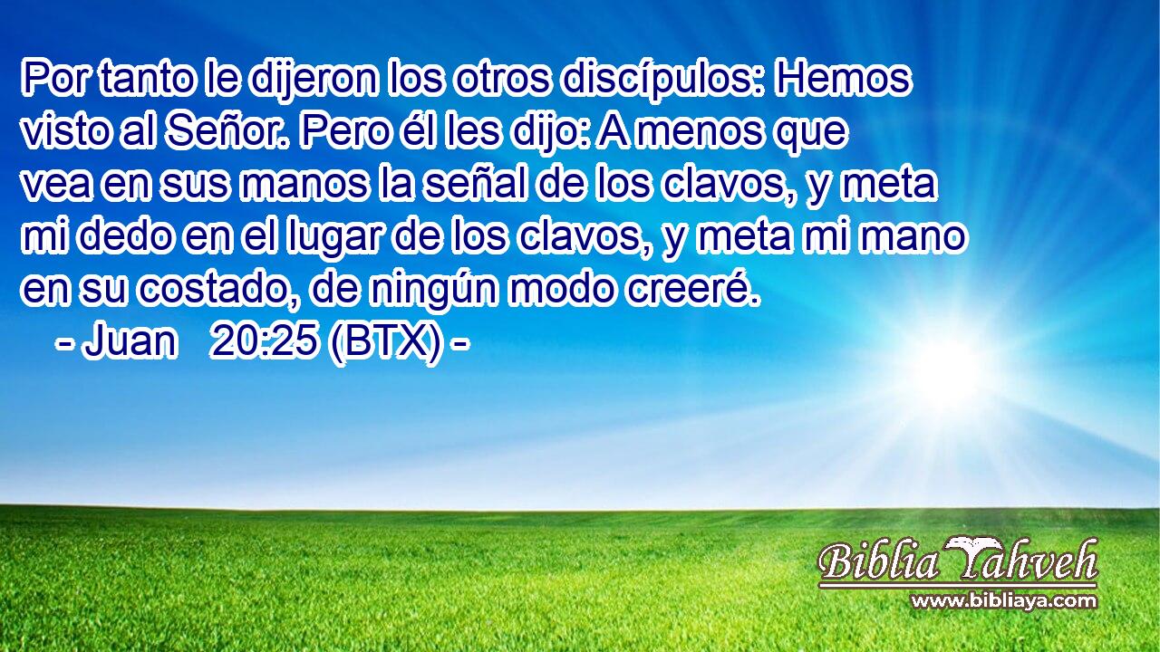 Por tanto le dijeron los otros discípulos: Hemos visto al Señor. Pero él les dijo: A menos que vea en sus manos la señal de los clavos, y meta mi dedo en el lugar de los clavos, y meta mi mano en su costado, de ningún modo creeré.