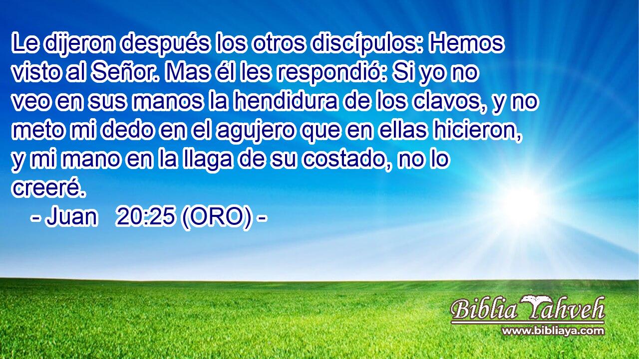  Le dijeron después los otros discípulos: Hemos visto al Señor. Mas él les respondió: Si yo no veo en sus manos la hendidura de los clavos, y no meto mi dedo en el agujero que en ellas hicieron, y mi mano en la llaga de su costado, no lo creeré. 