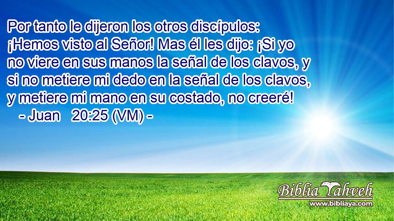  Por tanto le dijeron los otros discípulos: ¡Hemos visto al Señor! Mas él les dijo: ¡Si yo no viere en sus manos la señal de los clavos, y si no metiere mi dedo en la señal de los clavos, y metiere mi mano en su costado, no creeré! 