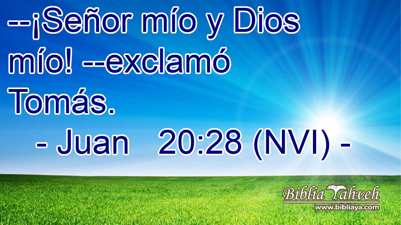  --¡Señor mío y Dios mío! --exclamó Tomás. 