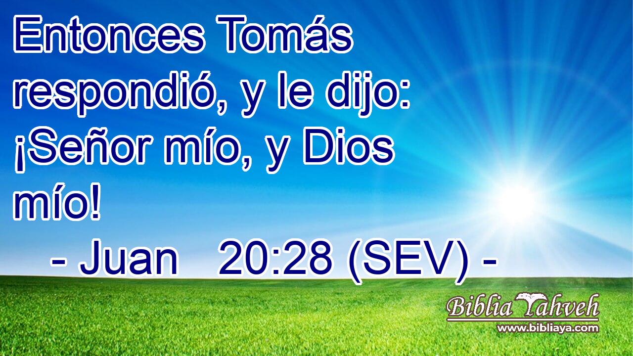 Entonces Tomás respondió, y le dijo: ¡Señor mío, y Dios mío!