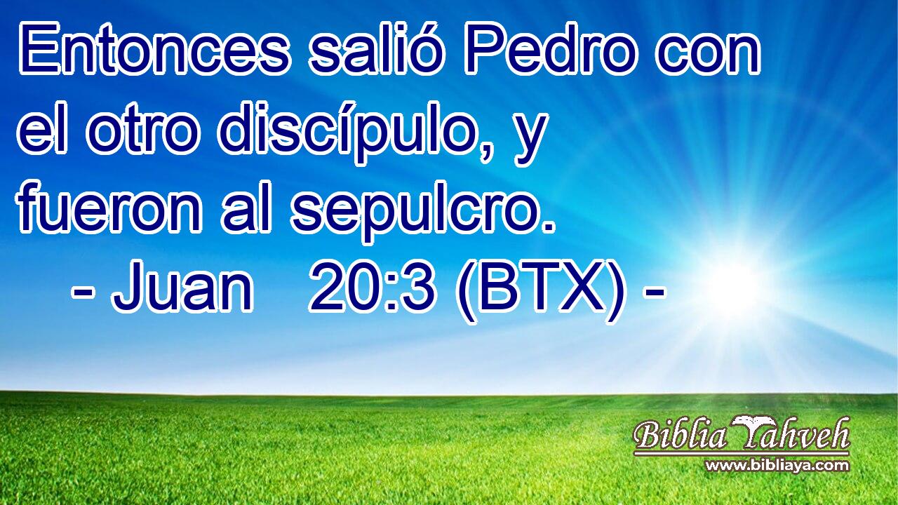 Entonces salió Pedro con el otro discípulo, y fueron al sepulcro.