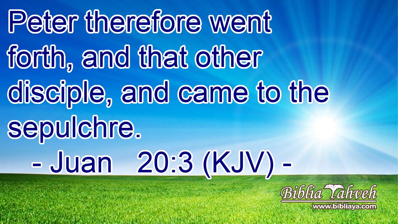 Peter therefore went forth, and that other disciple, and came to the sepulchre.
