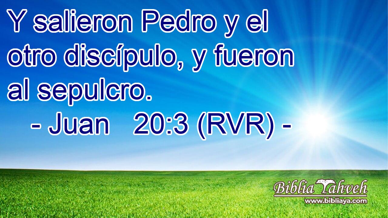 Y salieron Pedro y el otro discípulo, y fueron al sepulcro.
