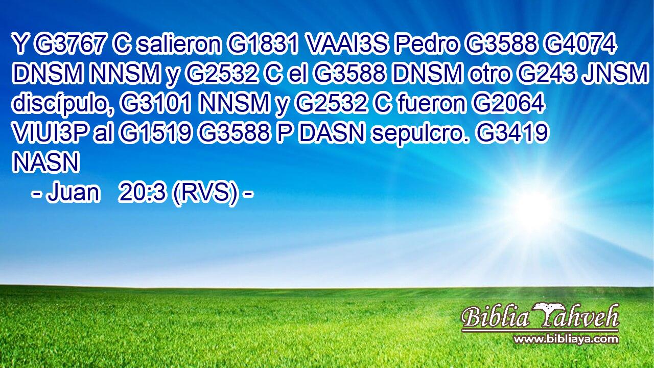 Y G3767 C salieron G1831 VAAI3S Pedro G3588 G4074 DNSM NNSM y G2532 C el G3588 DNSM otro G243 JNSM discípulo, G3101 NNSM y G2532 C fueron G2064 VIUI3P al G1519 G3588 P DASN sepulcro. G3419 NASN 
