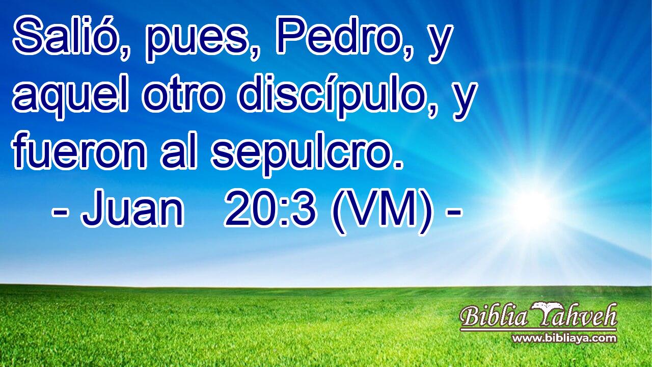  Salió, pues, Pedro, y aquel otro discípulo, y fueron al sepulcro. 