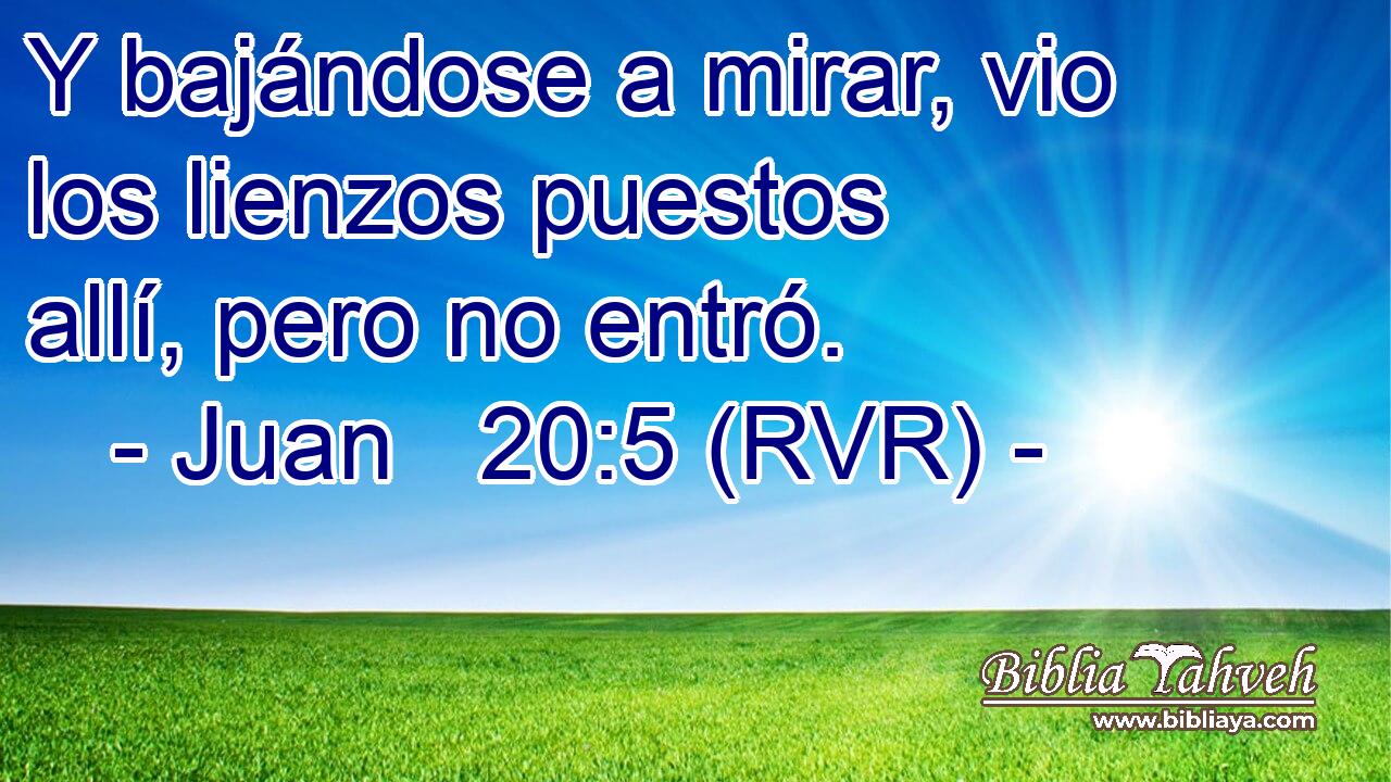 Y bajándose a mirar, vio los lienzos puestos allí, pero no entró.
