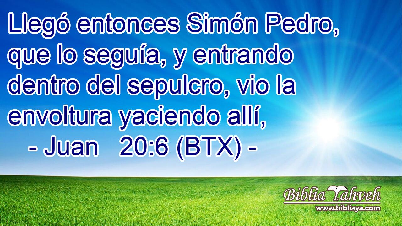 Llegó entonces Simón Pedro, que lo seguía, y entrando dentro del sepulcro, vio la envoltura yaciendo allí,