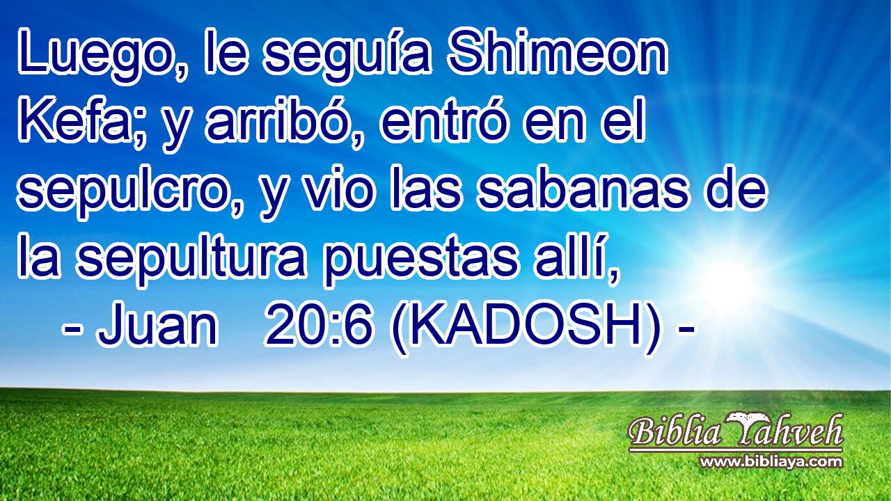  Luego, le seguía Shimeon Kefa; y arribó, entró en el sepulcro, y vio las sabanas de la sepultura puestas allí, 