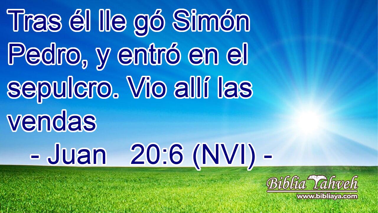  Tras él lle gó Simón Pedro, y entró en el sepulcro. Vio allí las vendas 