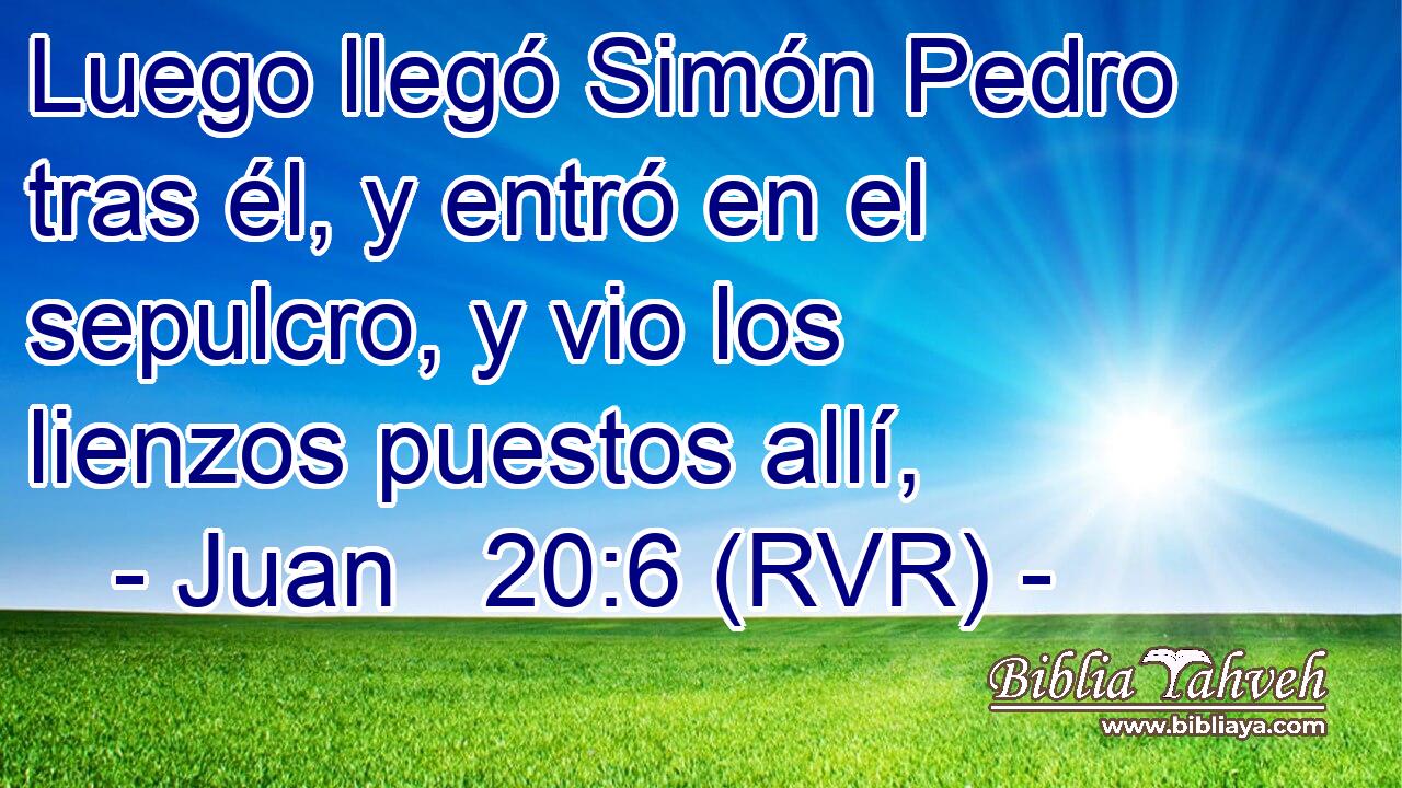 Luego llegó Simón Pedro tras él, y entró en el sepulcro, y vio los lienzos puestos allí,