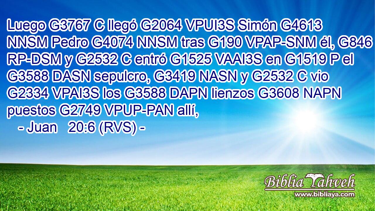 Luego G3767 C llegó G2064 VPUI3S Simón G4613 NNSM Pedro G4074 NNSM tras G190 VPAP-SNM él, G846 RP-DSM y G2532 C entró G1525 VAAI3S en G1519 P el G3588 DASN sepulcro, G3419 NASN y G2532 C vio G2334 VPAI3S los G3588 DAPN lienzos G3608 NAPN puestos G2749 VPUP-PAN allí, 