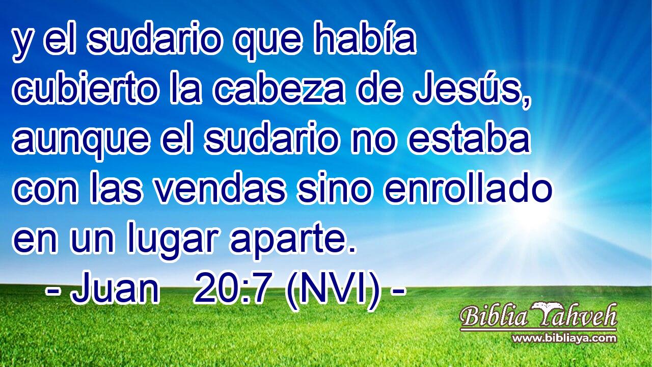  y el sudario que había cubierto la cabeza de Jesús, aunque el sudario no estaba con las vendas sino enrollado en un lugar aparte. 