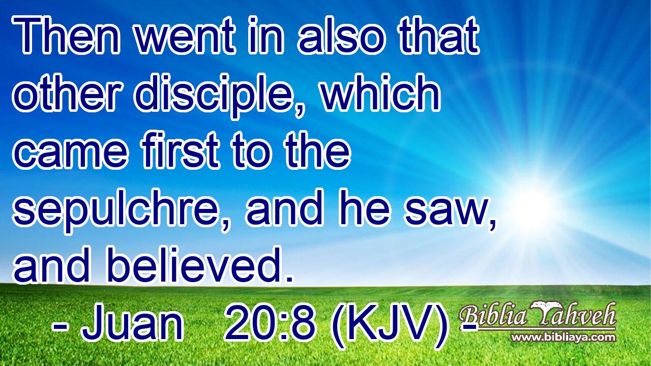 Then went in also that other disciple, which came first to the sepulchre, and he saw, and believed.